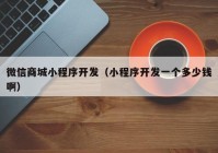 微信商城小程序開發(fā)（小程序開發(fā)一個(gè)多少錢?。? /></a>
		</div>
		<div   id=