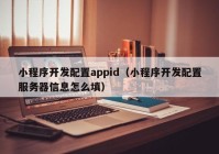 小程序開發(fā)配置appid（小程序開發(fā)配置服務器信息怎么填）