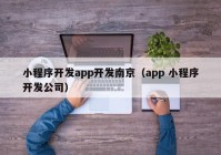 小程序開(kāi)發(fā)app開(kāi)發(fā)南京（app 小程序開(kāi)發(fā)公司）