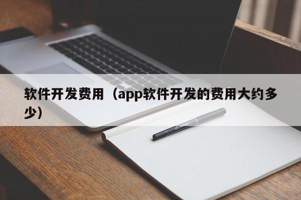 軟件開發(fā)費用(app軟件開發(fā)的費用大約多少)