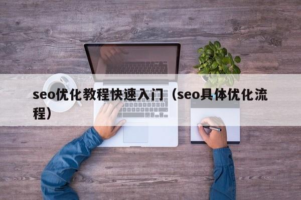 seo優(yōu)化教程快速入門(seo具體優(yōu)化流程)