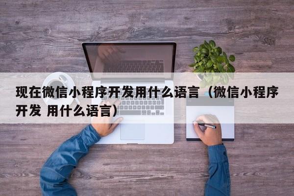 現(xiàn)在微信小程序開發(fā)用什么語言(微信小程序開發(fā) 用什么語言)