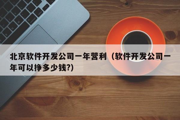 北京軟件開發(fā)公司一年營利(軟件開發(fā)公司一年可以掙多少錢?)