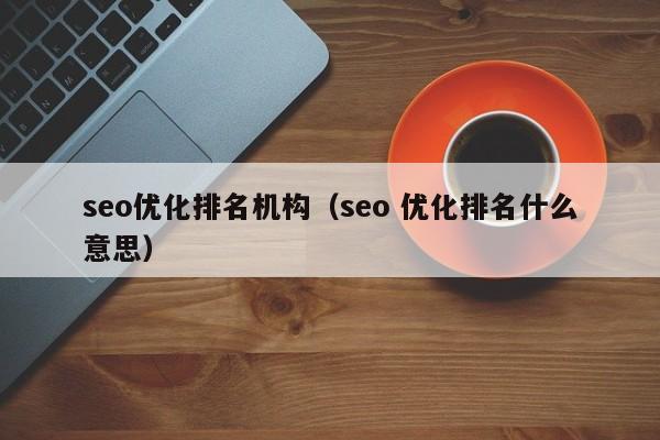 seo優(yōu)化排名機(jī)構(gòu)(seo 優(yōu)化排名什么意思)