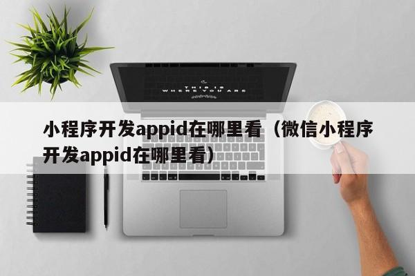 小程序開發(fā)appid在哪里看(微信小程序開發(fā)appid在哪里看)