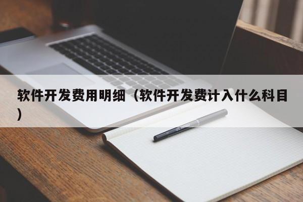 軟件開發(fā)費(fèi)用明細(xì)(軟件開發(fā)費(fèi)計(jì)入什么科目)