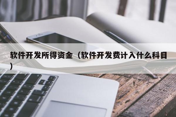 軟件開發(fā)所得資金(軟件開發(fā)費計入什么科目)