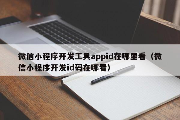 微信小程序開發(fā)工具appid在哪里看(微信小程序開發(fā)id碼在哪看)
