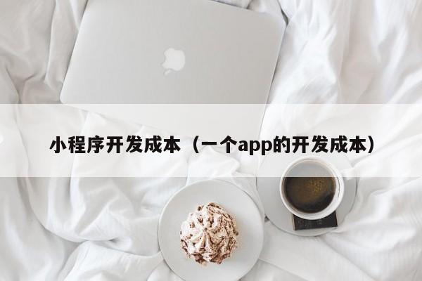 小程序開發(fā)成本(一個app的開發(fā)成本)