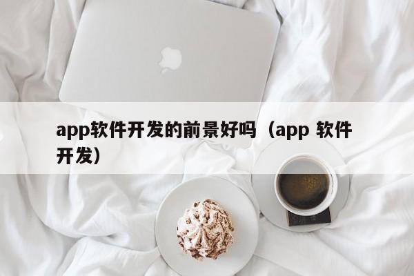 app軟件開發(fā)的前景好嗎(app 軟件 開發(fā))