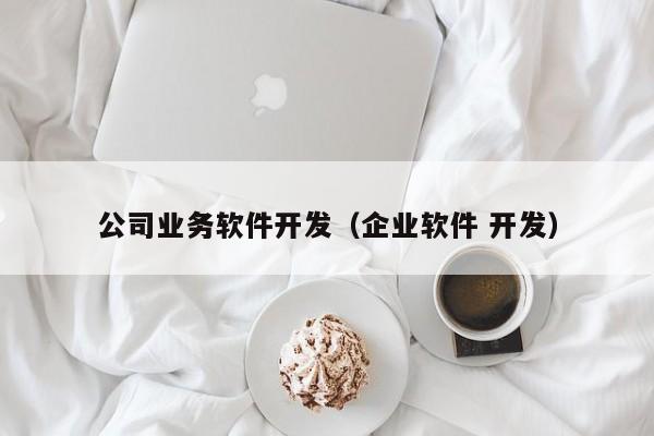 公司業(yè)務(wù)軟件開發(fā)(企業(yè)軟件 開發(fā))