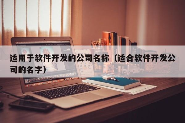適用于軟件開發(fā)的公司名稱(適合軟件開發(fā)公司的名字)