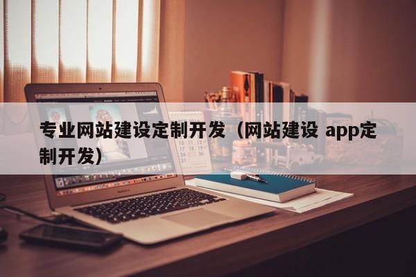 專業(yè)網(wǎng)站建設(shè)定制開(kāi)發(fā)(網(wǎng)站建設(shè) app定制開(kāi)發(fā))