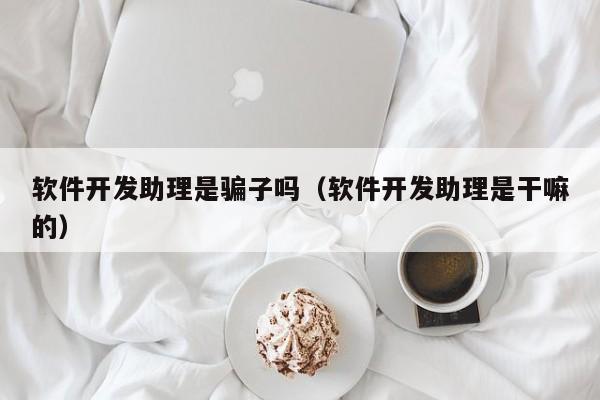 軟件開發(fā)助理是騙子嗎(軟件開發(fā)助理是干嘛的)