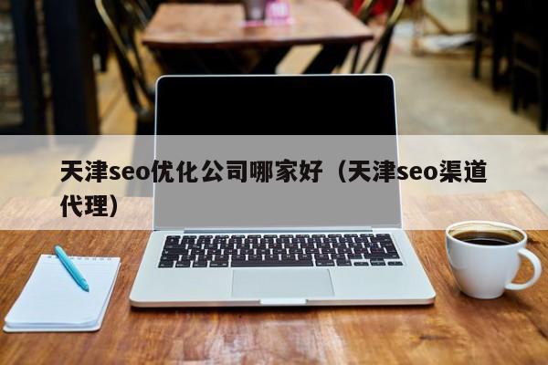 天津seo優(yōu)化公司哪家好(天津seo渠道代理)
