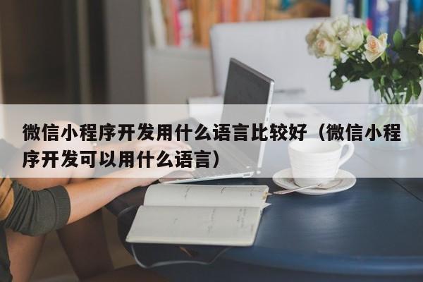微信小程序開發(fā)用什么語言比較好(微信小程序開發(fā)可以用什么語言)