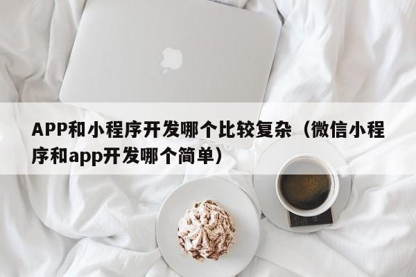 APP和小程序開發(fā)哪個比較復雜(微信小程序和app開發(fā)哪個簡單)