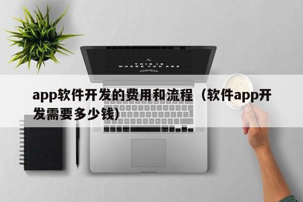 app軟件開發(fā)的費用和流程(軟件app開發(fā)需要多少錢)