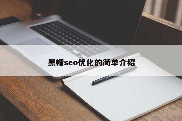 黑帽seo優(yōu)化的簡單介紹