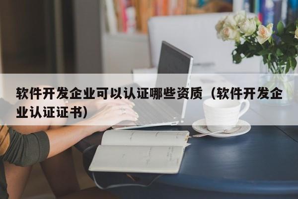 軟件開發(fā)企業(yè)可以認證哪些資質(zhì)(軟件開發(fā)企業(yè)認證證書)