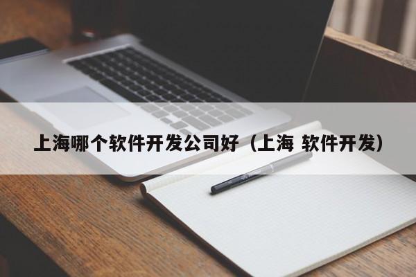 上海哪個軟件開發(fā)公司好(上海 軟件開發(fā))