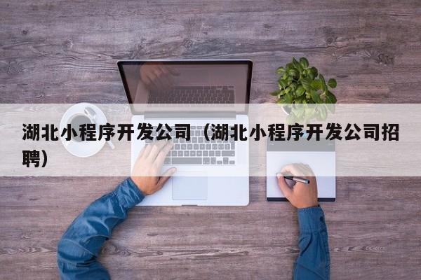 湖北小程序開發(fā)公司(湖北小程序開發(fā)公司招聘)