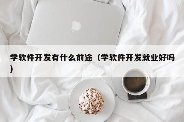 學軟件開發(fā)有什么前途(學軟件開發(fā)就業(yè)好嗎)