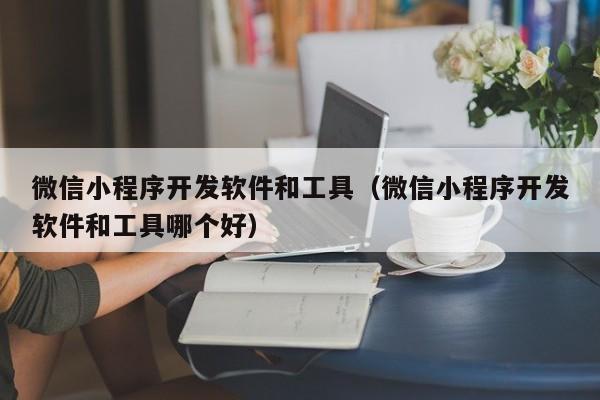 微信小程序開發(fā)軟件和工具(微信小程序開發(fā)軟件和工具哪個好)