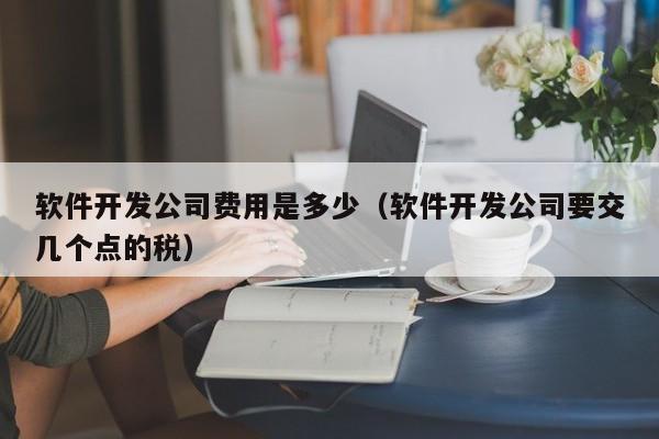 軟件開發(fā)公司費用是多少(軟件開發(fā)公司要交幾個點的稅)