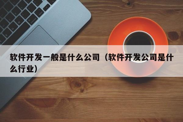 軟件開發(fā)一般是什么公司(軟件開發(fā)公司是什么行業(yè))