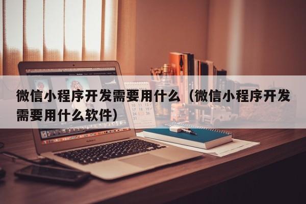 微信小程序開發(fā)需要用什么(微信小程序開發(fā)需要用什么軟件)