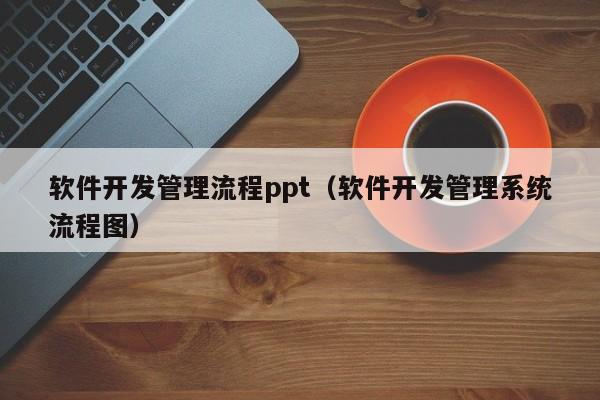 軟件開發(fā)管理流程ppt(軟件開發(fā)管理系統(tǒng)流程圖)