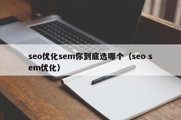 seo優(yōu)化sem你到底選哪個(seo sem優(yōu)化)