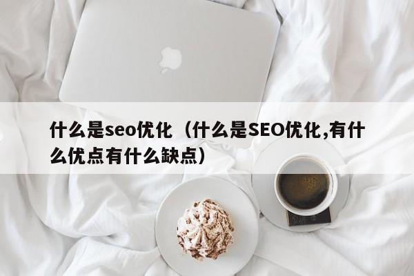 什么是seo優(yōu)化(什么是SEO優(yōu)化,有什么優(yōu)點有什么缺點)