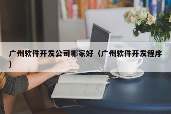 廣州軟件開發(fā)公司哪家好(廣州軟件開發(fā)程序)