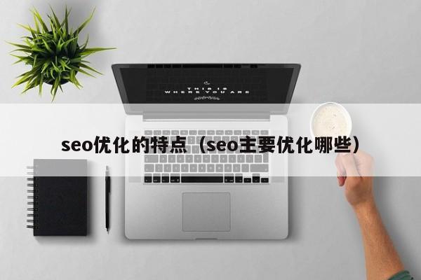 seo優(yōu)化的特點(diǎn)(seo主要優(yōu)化哪些)