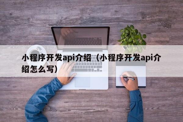 小程序開發(fā)api介紹(小程序開發(fā)api介紹怎么寫)