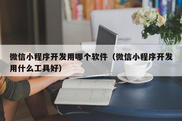 微信小程序開發(fā)用哪個軟件(微信小程序開發(fā)用什么工具好)