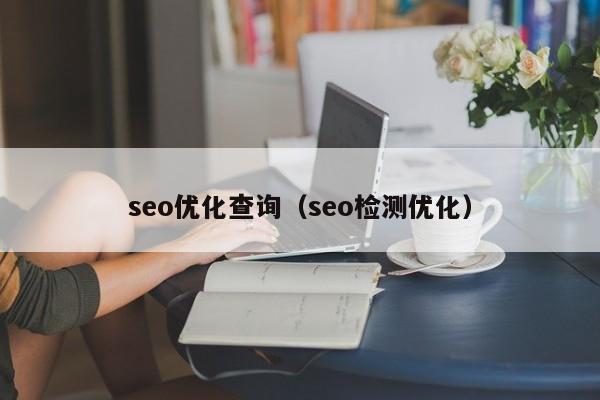 seo優(yōu)化查詢(seo檢測優(yōu)化)