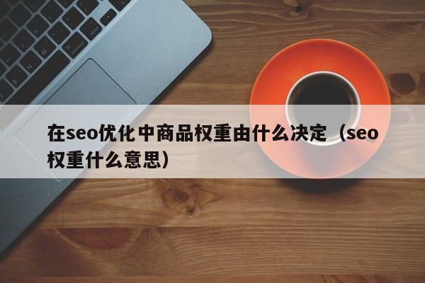 在seo優(yōu)化中商品權重由什么決定(seo權重什么意思)
