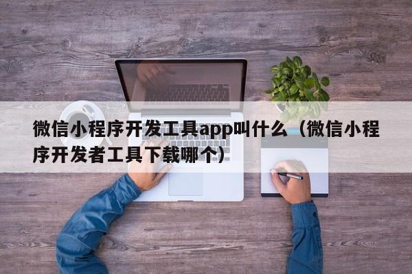 微信小程序開發(fā)工具app叫什么(微信小程序開發(fā)者工具下載哪個(gè))