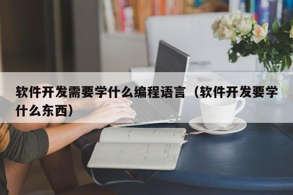 軟件開發(fā)需要學(xué)什么編程語言(軟件開發(fā)要學(xué)什么東西)