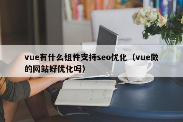 vue有什么組件支持seo優(yōu)化(vue做的網(wǎng)站好優(yōu)化嗎)