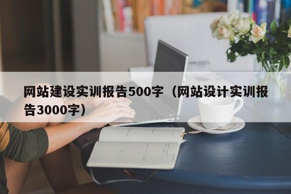 網(wǎng)站建設(shè)實(shí)訓(xùn)報(bào)告500字(網(wǎng)站設(shè)計(jì)實(shí)訓(xùn)報(bào)告3000字)