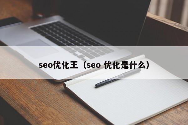seo優(yōu)化王(seo 優(yōu)化是什么)