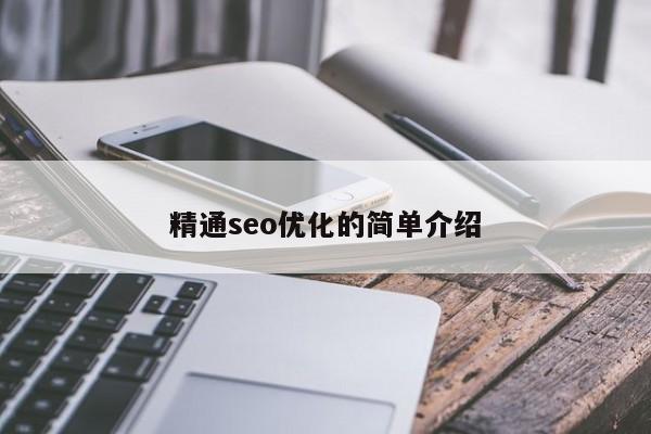 精通seo優(yōu)化的簡單介紹