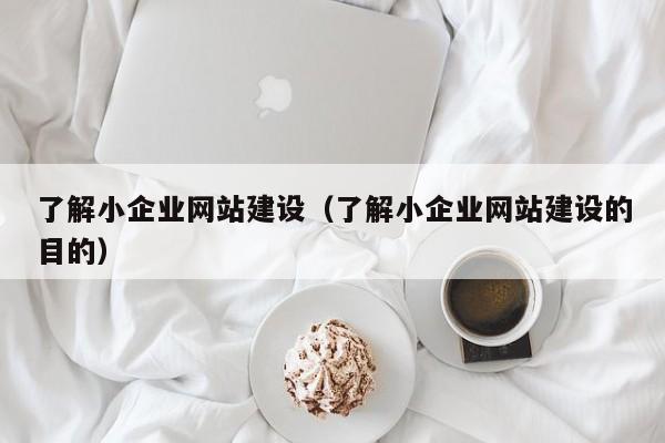 了解小企業(yè)網(wǎng)站建設(shè)(了解小企業(yè)網(wǎng)站建設(shè)的目的)